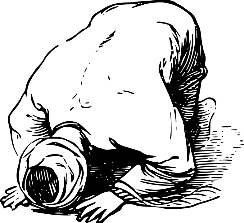 Braidd Unig, braiddunig, blog post featured images, philosophy, psychology, mental health, nature, life, thoughts